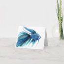 Search for betta cards Blue