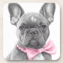 Search for bulldog coasters Cute