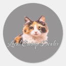 Search for big eyes stickers Funny