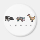 Search for cow and chicken magnets Pig