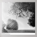 Search for ansel adams photography posters University of california