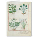 Search for medicinal plants postcards C12th