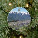 Search for olympic national park christmas tree decorations Landscape