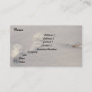 Search for wildlife business cards Winter