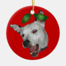 Search for pit bull christmas tree decorations Face