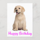 Search for yellow lab birthday cards Puppies