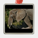 Search for african elephant christmas tree decorations Mammal