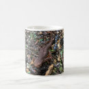 Search for salamander mugs Amphibian