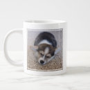 Search for rugs mugs Cute