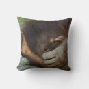 Search for orangutan cushions Wildlife