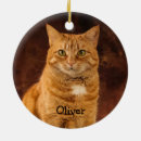 Search for orange tabby cat christmas tree decorations Sweet