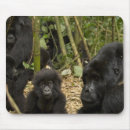 Search for gorilla mouse mats Baby