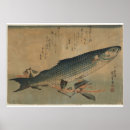 Search for mullets posters Fish