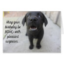 Search for surprise birthday cards Puppy