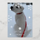 Search for silver christmas cards Pet