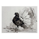 Search for fantail posters Pigeon