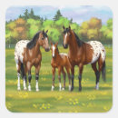 Search for appaloosas stickers Appaloosa horse