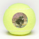 Search for cute tennis balls Photography