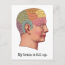 Search for phrenology postcards Skull