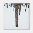 Search for tree trunks magnets Snow