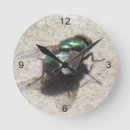 Search for time flies clocks Insects