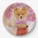 Search for puppy plates Cute