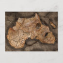 Search for fossil postcards Dinosaur