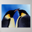 Search for emperor penguin posters Cute