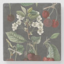 Search for cherry sandstone coasters Fruits