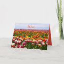 Search for funny easter cards Colourful