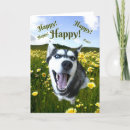 Search for sweet thinking of you cards Dog