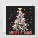 Search for pitbull christmas cards Santa
