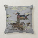 Search for lily pad cushions Lake