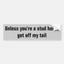 Search for stud horse Stallions