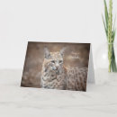Search for digital wolf cards Nature