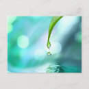 Search for healing horizontal postcards Peace