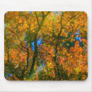 Search for japanese maple mouse mats Fall