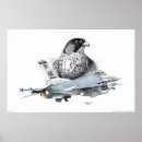 Search for f16 jet posters Aircraft