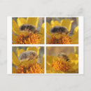 Search for flying bee postcards Insects