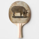 Search for warthog Africa