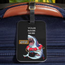 Search for killer shark Ocean