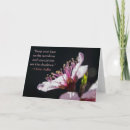 Search for peach blossom cards Pink
