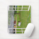 Search for play ball mouse mats Pet