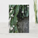 Search for barn christmas cards Botanical