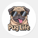 Search for pug life stickers Cute