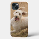 Search for mix ipad cases Goldendoodle