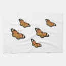 Search for monarch Butterflies