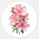 Search for azaleas stickers Botanical