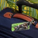Search for chimps accessories Primate