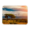Search for kenya magnets Amboseli national park